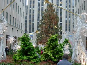 c0074444_5353350.jpg