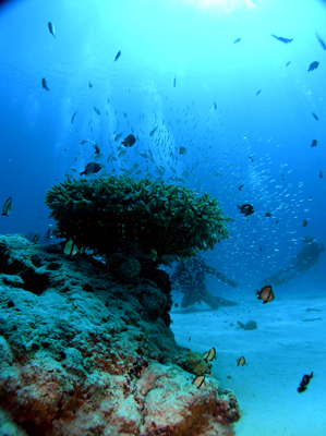 d0065247_2148769.jpg