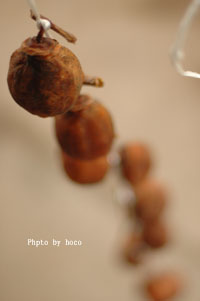 d0059252_1504432.jpg