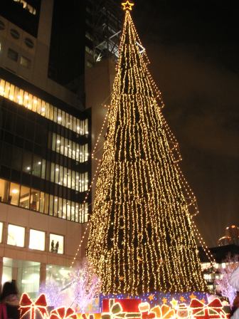 d0068755_1763816.jpg