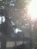 f0106355_1594933.jpg