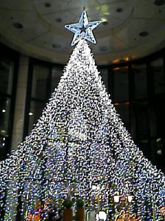 a0057868_8284994.jpg