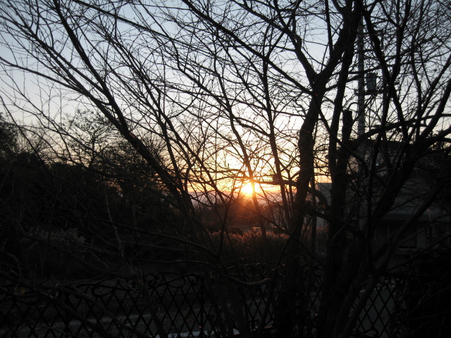 d0070473_90335.jpg
