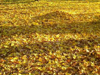c0014779_21151924.jpg