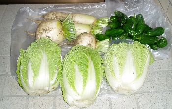 f0003283_17232514.jpg