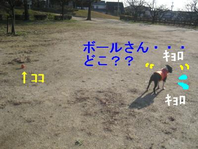 c0092787_10384535.jpg