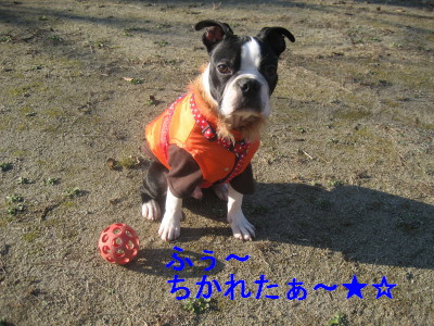 c0092787_10403578.jpg
