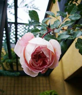 f0065604_233353.jpg