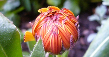 f0065604_233584.jpg
