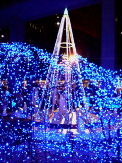 a0071815_0454831.jpg