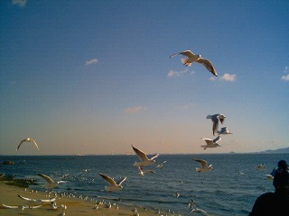 e0075015_522176.jpg