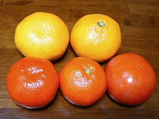 e0026017_0365088.jpg