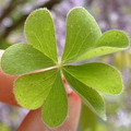 c0092520_2356758.jpg