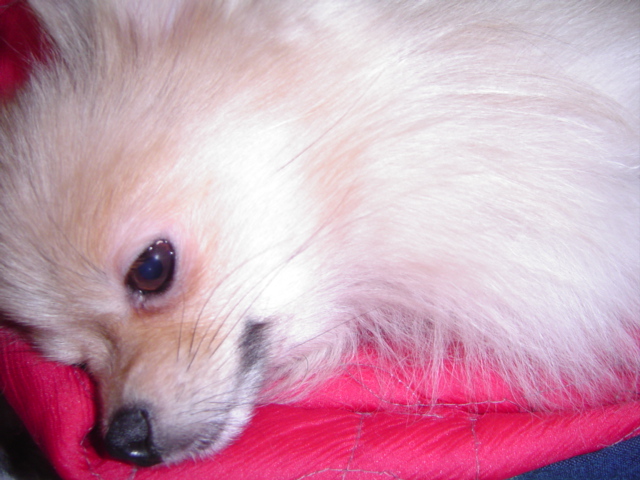 f0012924_1120655.jpg