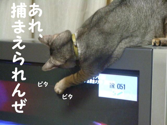 d0081025_2010012.jpg
