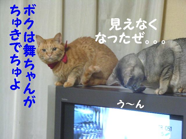 d0081025_20122279.jpg