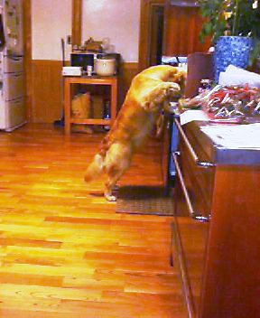e0065928_20103050.jpg