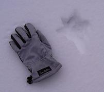 f0118332_2327714.jpg