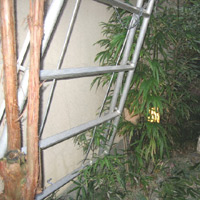 d0033734_13381884.jpg