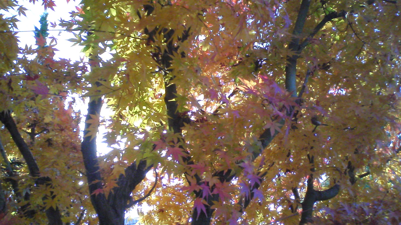 a0072337_19565828.jpg