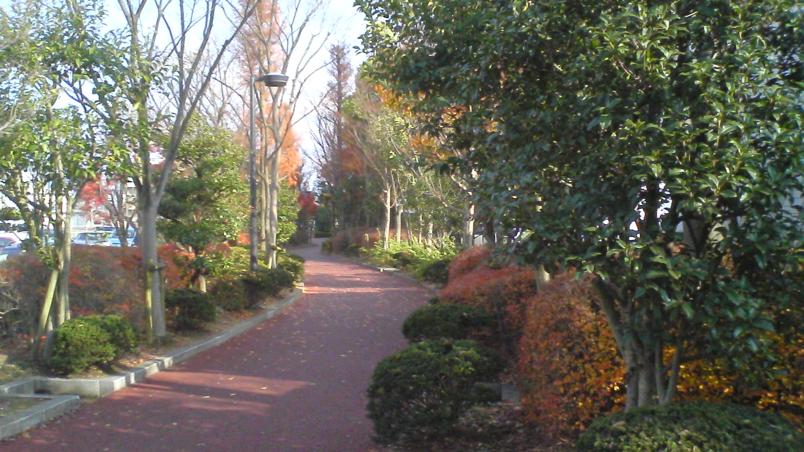 a0072337_20353539.jpg