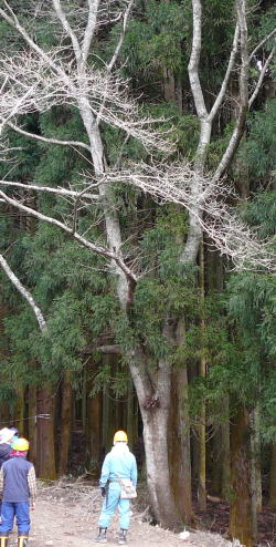 e0049740_22595760.jpg