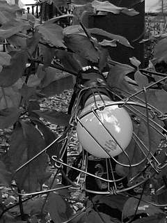 f0100480_8455531.jpg