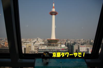 b0041182_2151487.jpg