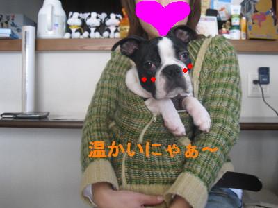 c0092787_12271.jpg