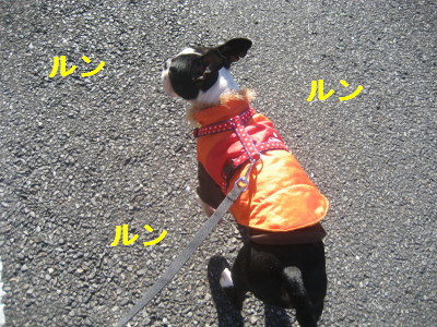 c0092787_125166.jpg