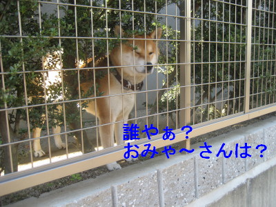 c0092787_1261410.jpg