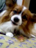 d0077607_023663.jpg