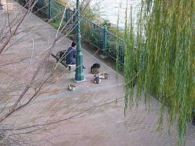 a0041508_1741115.jpg