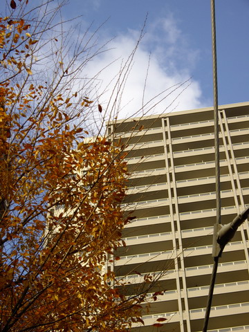 a0091314_1614476.jpg