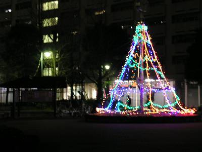 f0004019_22153072.jpg