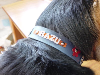 c0090220_17164936.jpg