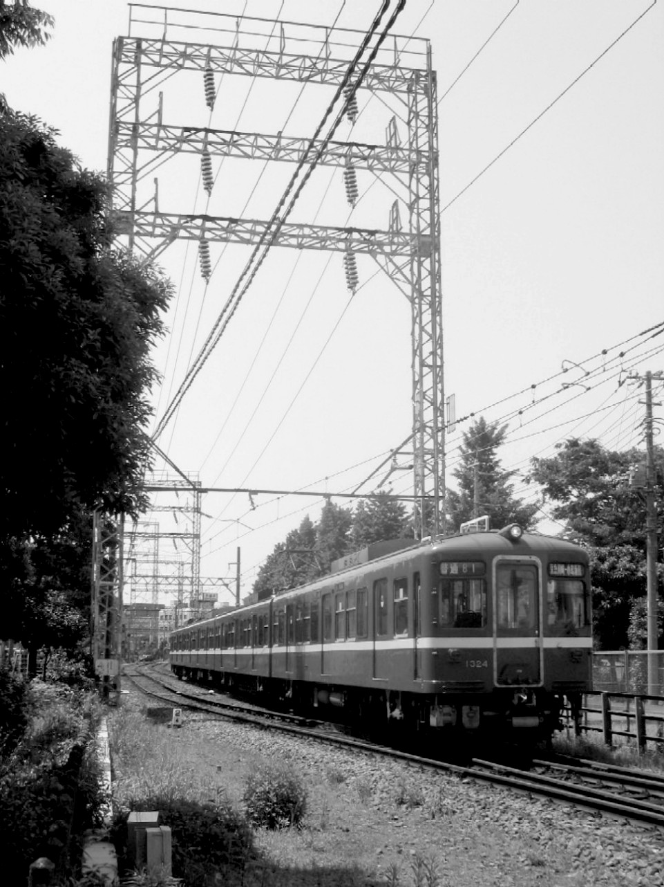 d0044222_823205.jpg