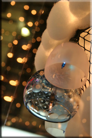 e0001123_0273779.jpg