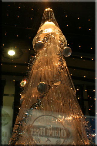 e0001123_0291431.jpg