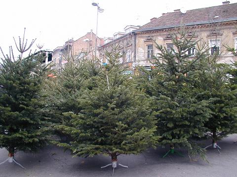 f0062724_23241623.jpg