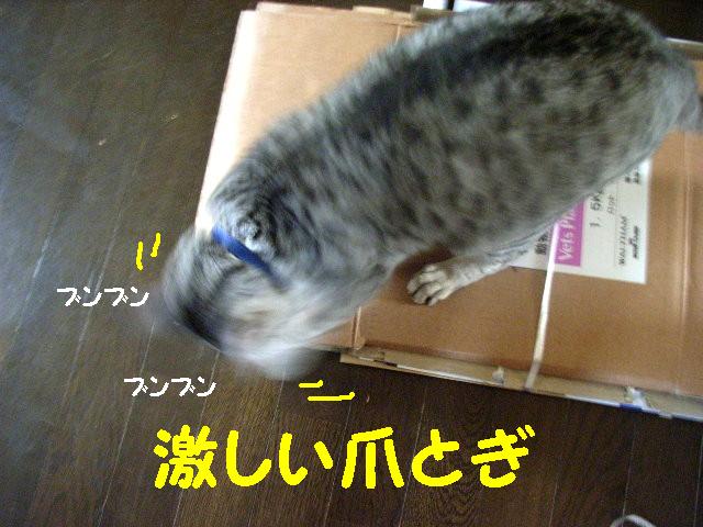 d0081025_21285174.jpg