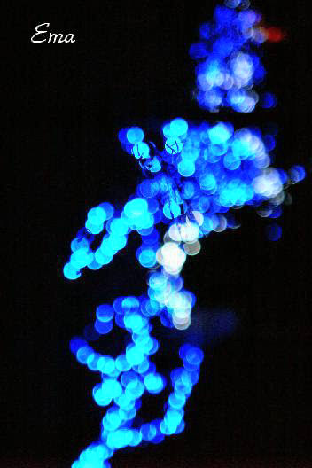 c0032138_1835296.jpg
