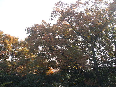 d0025545_2444464.jpg