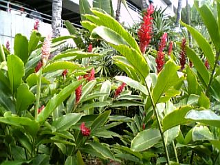f0053847_1165188.jpg