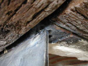 b0069848_8271023.jpg