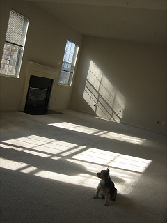 e0015270_15911.jpg