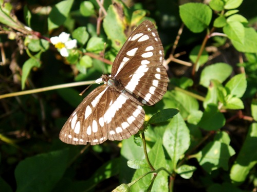 f0083281_23174471.jpg