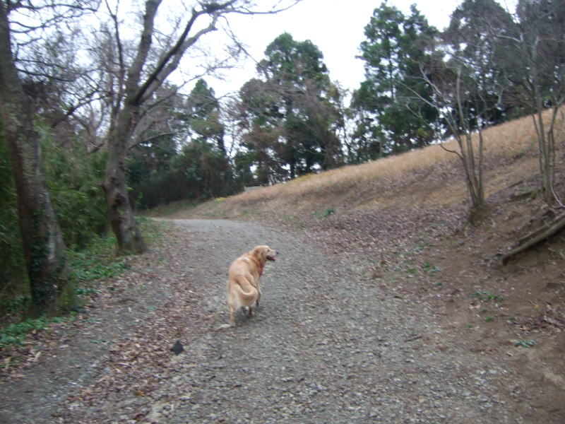 c0104492_0102385.jpg