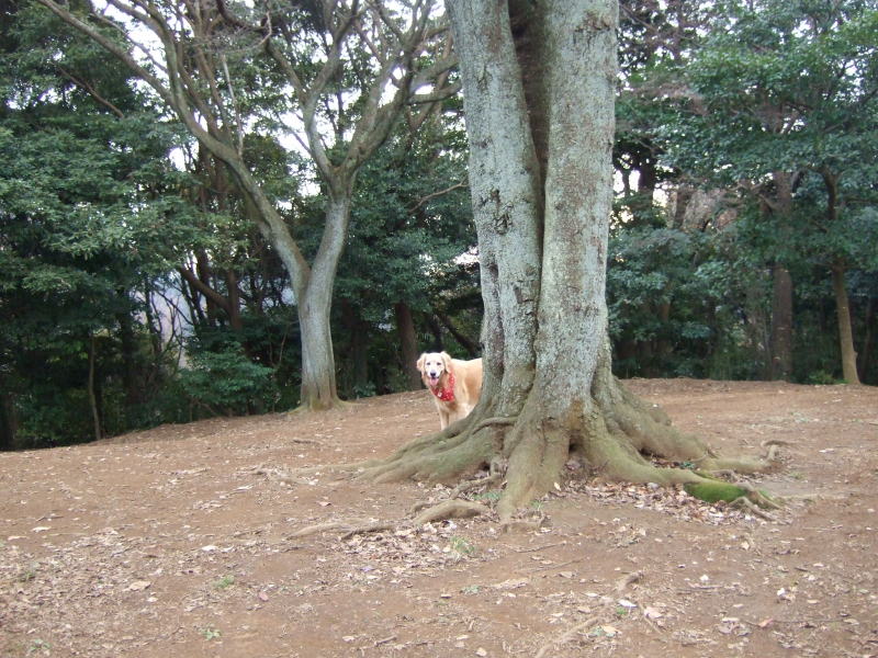 c0104492_093544.jpg