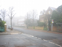 e0032092_8483212.jpg